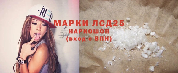 прущие грибы Верея