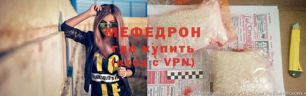 прущие грибы Верея
