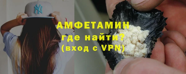 прущие грибы Верея