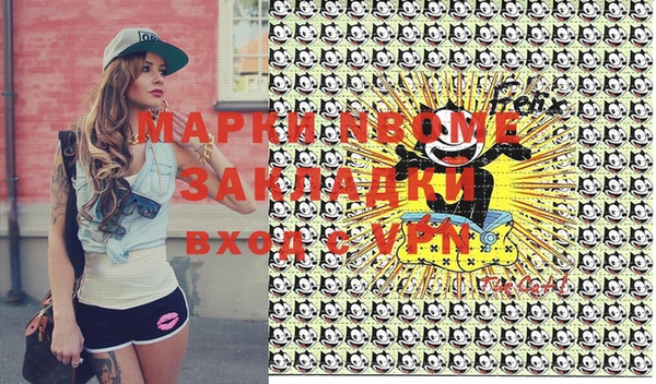 прущие грибы Верея