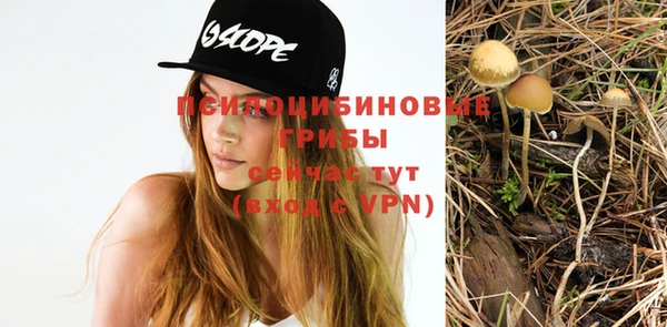 мет Верхний Тагил