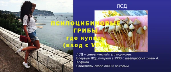 прущие грибы Верея