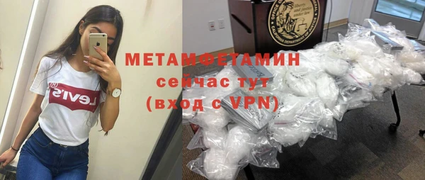прущие грибы Верея