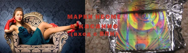 прущие грибы Верея