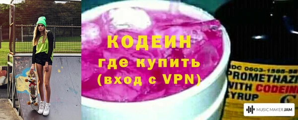 прущие грибы Верея