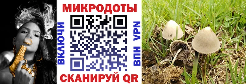 Псилоцибиновые грибы MAGIC MUSHROOMS  Петров Вал 